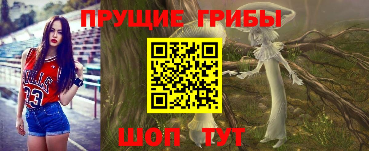 Псилоцибиновые грибы Psilocybine cubensis Бахчисарай