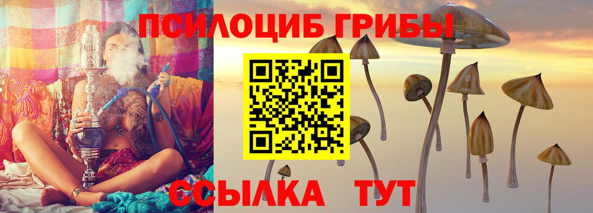 Hash Oil  Вход с VPN  A PVP  Бахчисарай  Меф  Марки  Гашиш  Марихуана  Меф  Молли  МАРИХУАНА 