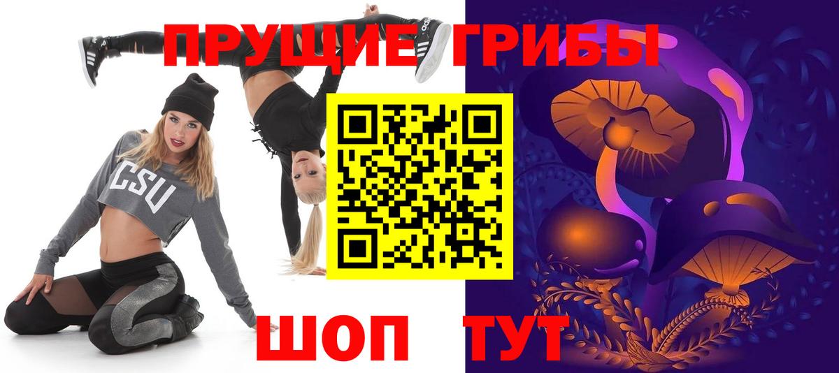 Псилоцибиновые грибы Psilocybine cubensis Бахчисарай